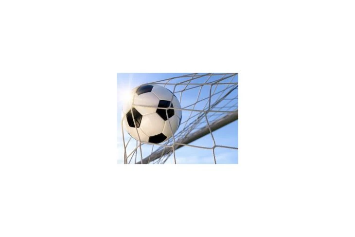 大型ポリエチレンサッカーゴールネット